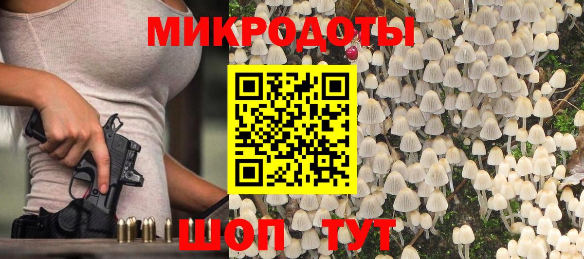 Псилоцибиновые грибы Cubensis Заинск