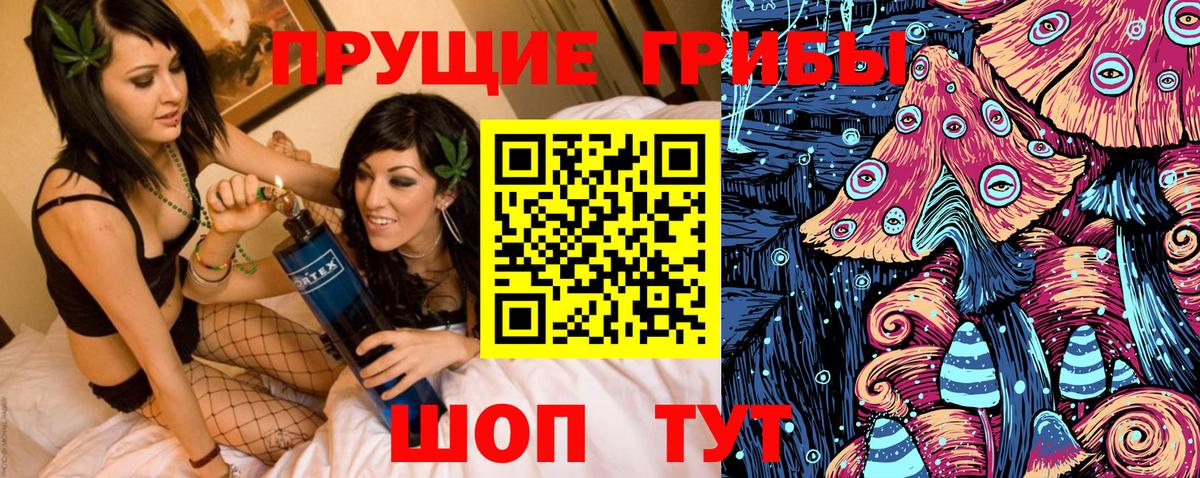 Заинск  Галлюциногенные грибы Cubensis  Вход с VPN 